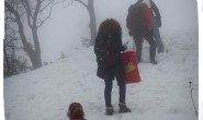 IMG_1245