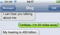 dog